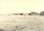 P00466 Pacific By Products factory Argyle Ave c1930