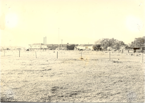 P00466 Pacific By Products factory Argyle Ave c1930