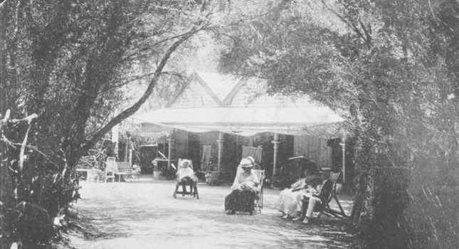 P00102 Chalet at Aspendale c1910