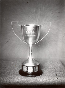 P00476 Edithvale Lifesaving Club Trophy c1940s