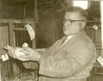 Photograph of E. Nancarrow, Pigeon Club judge, 1950s