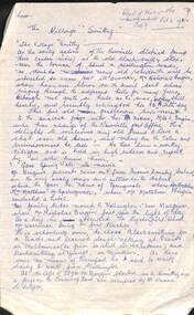 Bergin Family, Nicholas Bergin - Biography and Mini Family Tree (handwritten)