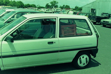 Photograph, Dandenong Sale Yards 1990-1992