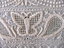 Chikankari Embroidered Partial Sari 
