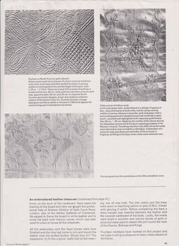 Lady Geraldine Amies Article