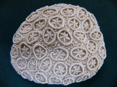 Functional Object - Paper weight, Mrs Alison West, 1987