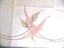 Embroidered Hand Towel