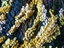 Wool Embroidered Detachable Collar