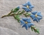 Six Geoff Riley Design Handkerchiefs
