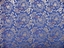 Chinese Dragon Silk Brocade Piece
