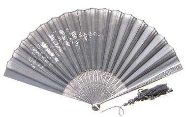 Accessory - Fan