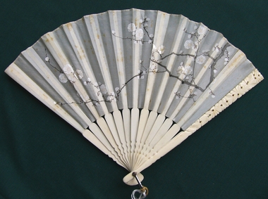 Accessory - Fan