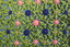 Woven and Embroidered Mat 