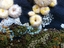 Cerative Embroidered Picture 'Gmelinite'