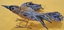 Contemporary 3D Machine and Hand Embroidered Bird