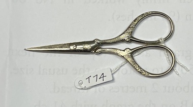 Tool - Scissors