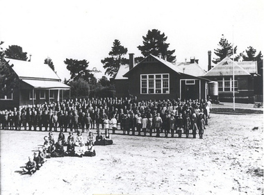 Photograph