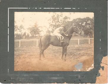 Photograph