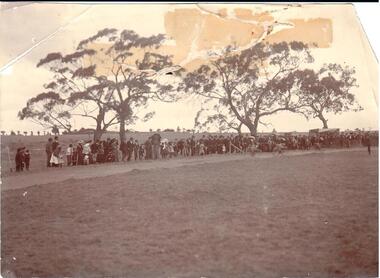 Photograph, c1900
