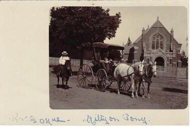 Photograph