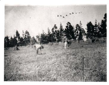 Photograph