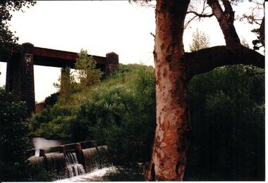 Photograph, 1990-1999