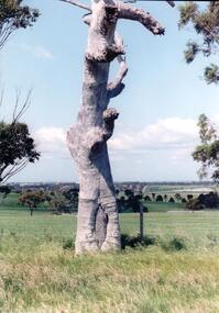 Photograph, early 1990's