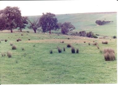 Photograph, early 1990's