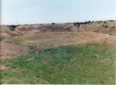 Photograph, early 1990's