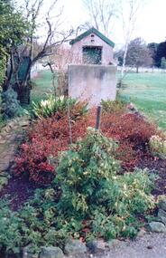 Photograph, Late 1990's