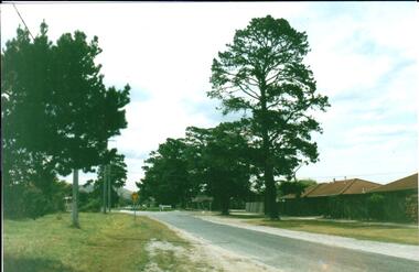 Photograph, Early 1980's