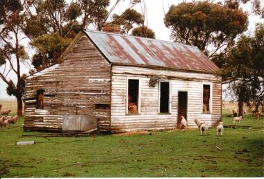 Photograph, Early 1990's
