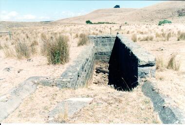 Photograph, Early 1990's