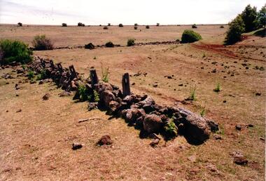 Photograph, Early 1990's