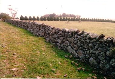 Photograph, Early 1990's