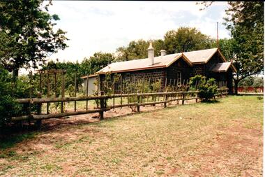 Photograph