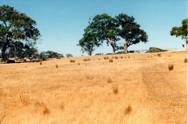 Photograph, c late 1990s