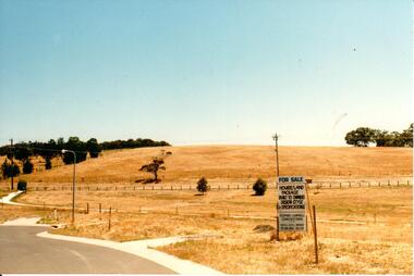Photograph, c late 1990s