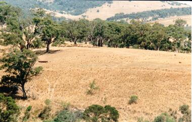 Photograph, c late 1980s