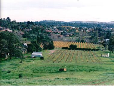 Photograph, late 1980s