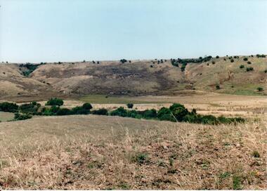 Photograph, c 1990s