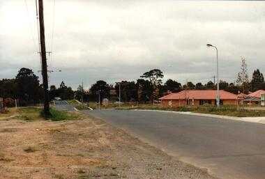 Photograph, early 1990s