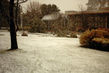 Photograph, 1/08/1986