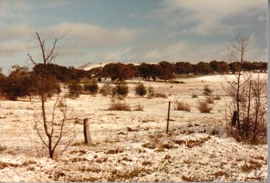 Photograph, 1/08/1986