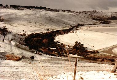 Photograph, 1/08/1986
