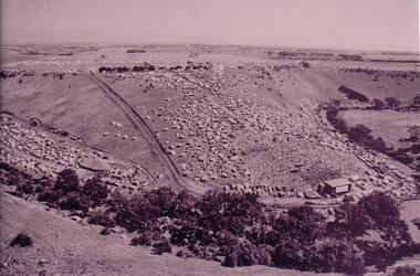 Photograph, 1972