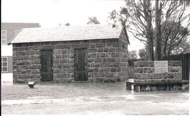 Photograph, early 1990s