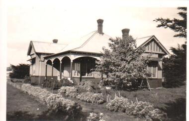 Photograph