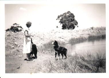 Photograph, c1955