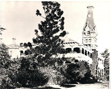 Photograph, c1900's